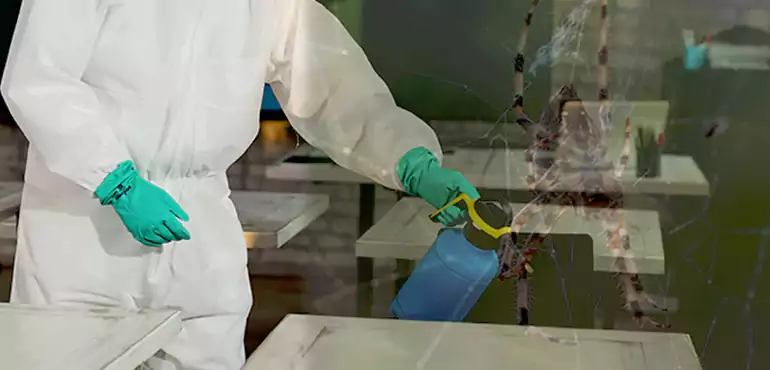 Why Buyers Still Want Homes With Pest Infestations in Tucson, AZ?