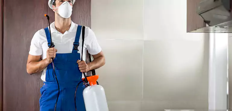 Why Tucson Homeowners Choose Us When Pests Make Selling Difficult